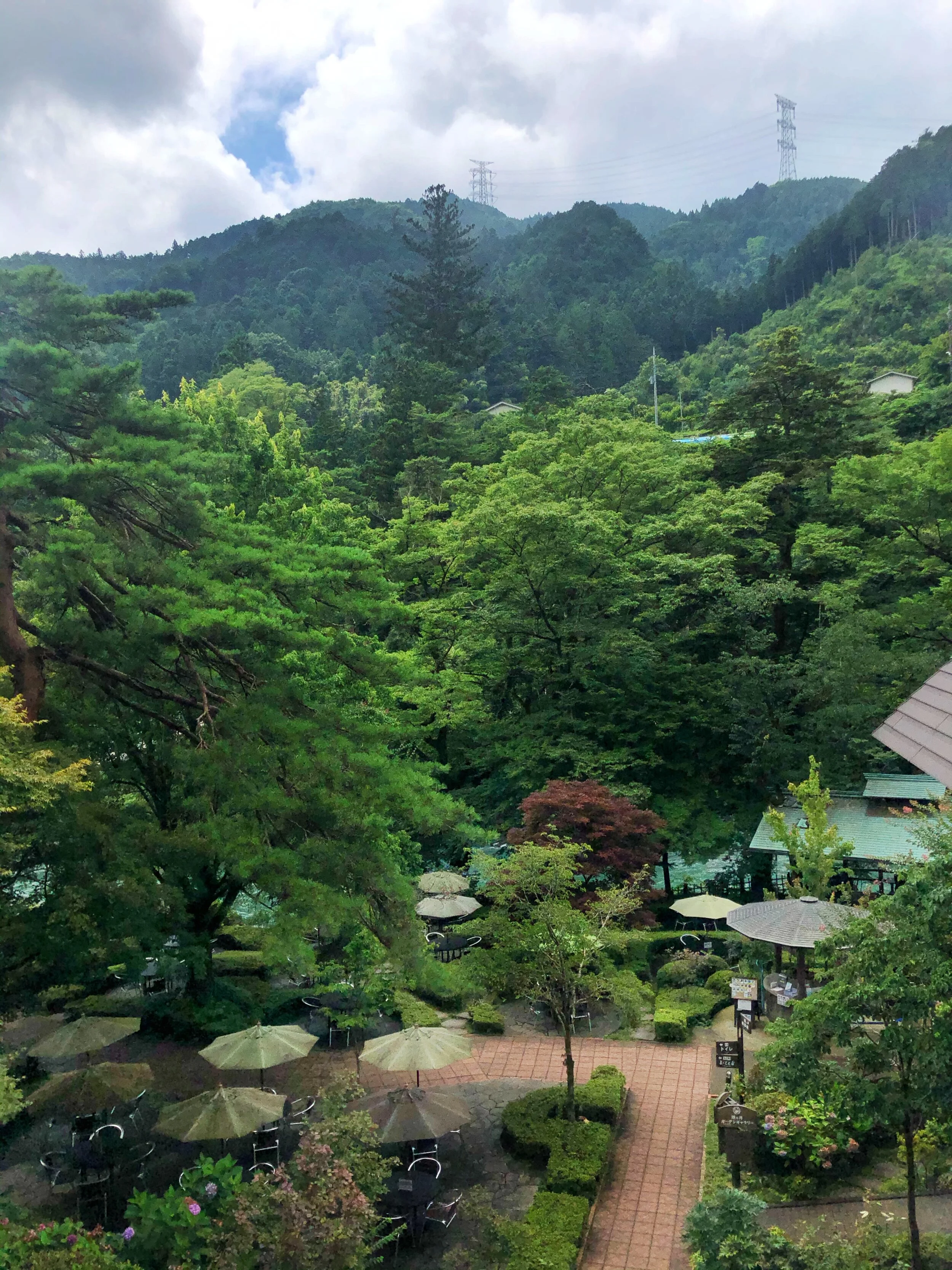 Sawanoi Sake - a perfect day trip from Tokyo to taste Japanese